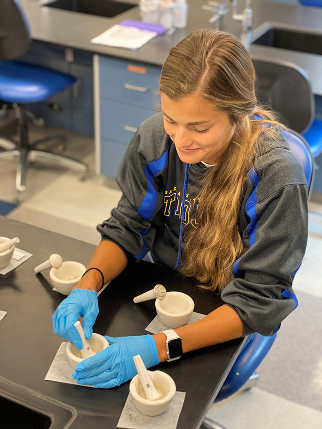 Jenni Giles prepares alfalfa root samples for DNA extraction earlier this summer.